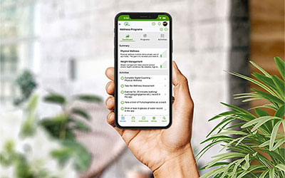 Return on Investment from Employee Wellbeing Program