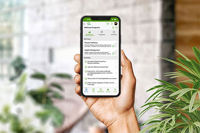 Return on Investment from Employee Wellbeing Program