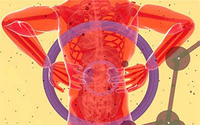 March 2024 Newsletter: Taking Care of Your Kidneys